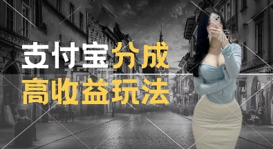 支付宝分成计划新玩法，利用交通事故视频，赚收益，轻松月入过W，操作简单【揭秘】-网创先锋