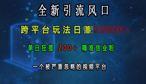 全新引流风口，跨平台玩法日入上k，单日狂揽200+精准创业粉，一个被严重忽略的视频平台-网创先锋