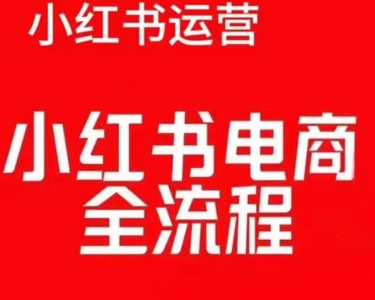 红薯电商实操课，小红书电商全流程-网创先锋