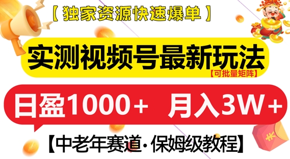 实测视频号最新玩法，中老年赛道，独家资源，月入过W+【揭秘】-网创先锋