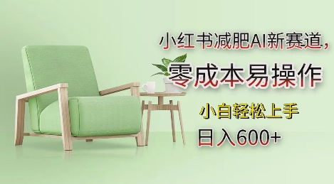 小红书减肥AI新赛道，零成本易操作，日入多张，小白轻松上手【揭秘】-网创先锋