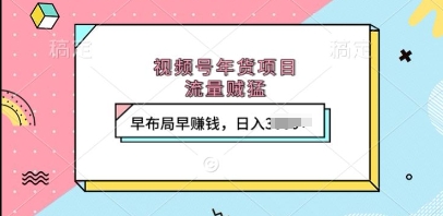 视频号年货项目，流量贼猛，早布局早挣钱，日入上k【揭秘】-网创先锋