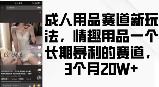 成人用品赛道新玩法，情趣用品一个长期暴利的赛道，3个月收益20个【揭秘】-网创先锋