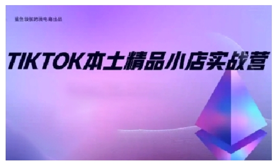 TikTok本土精品小店出海实战营，从入门到高阶，不止0-1!-网创先锋