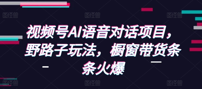 视频号AI语音对话项目，野路子玩法，橱窗带货条条火爆-网创先锋