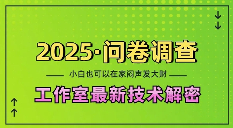 2025问卷调查最新工作室技术解密：一个人在家也可以闷声发大财，小白一天2张，可矩阵放大【揭秘】-网创先锋