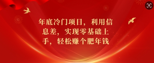 年底冷门项目，利用信息差，实现零基础上手，轻松赚个肥年钱【揭秘】-网创先锋