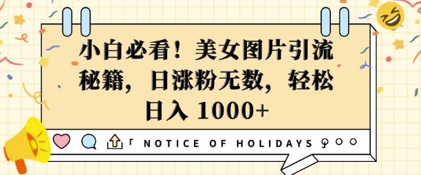 小白必看，美女图片引流秘籍，日涨粉无数，轻松日入几张【揭秘】-网创先锋