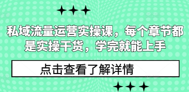 私域流量运营实操课，每个章节都是实操干货，学完就能上手-网创先锋