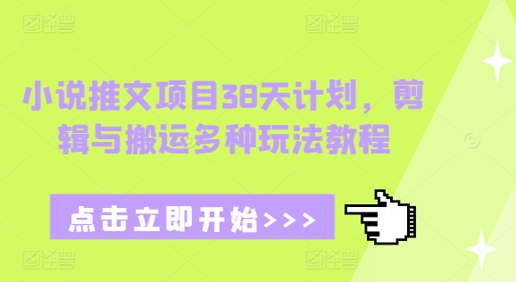 小说推文项目38天计划，剪辑与搬运多种玩法教程-网创先锋