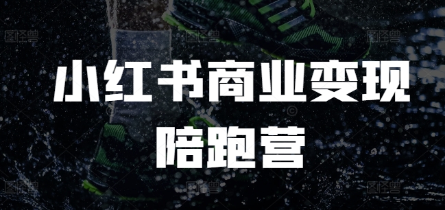 小红书商业变现陪跑营，小红书电商教程-网创先锋