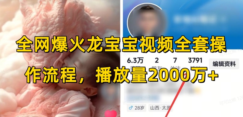 全网爆火龙宝宝视频全套操作流程，播放量2000万+-网创先锋