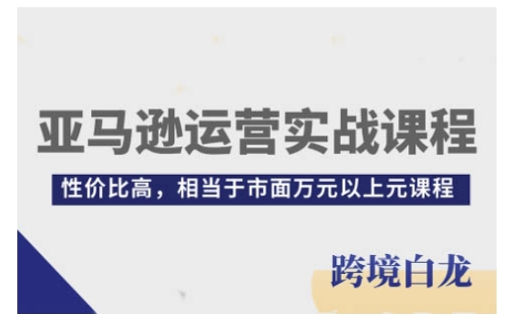 亚马逊运营实战课程，亚马逊从入门到精通，性价比高，相当于市面万元以上元课程-网创先锋