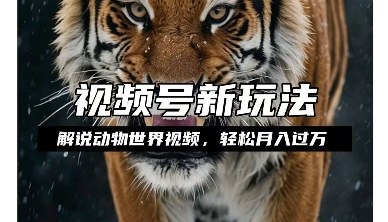 利用动物世界解说视频，赚分成计划收益，轻松月入过W，操作简单【揭秘】-网创先锋