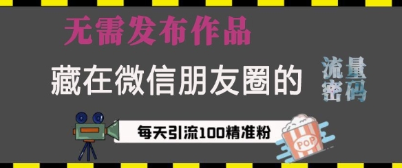藏在微信朋友圈的流量密码，无需发布作品，单日引流100+精准创业粉【揭秘】-网创先锋
