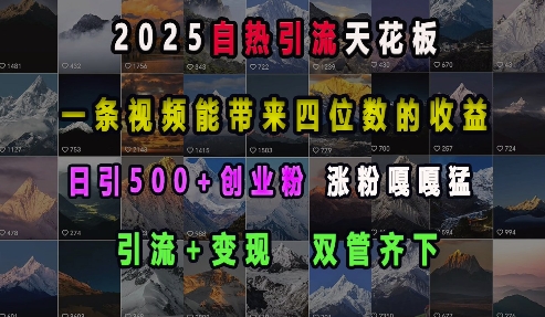 2025自热引流天花板，一条视频能带来四位数的收益，引流+变现双管齐下，日引500+创业粉，涨粉嘎嘎猛-网创先锋