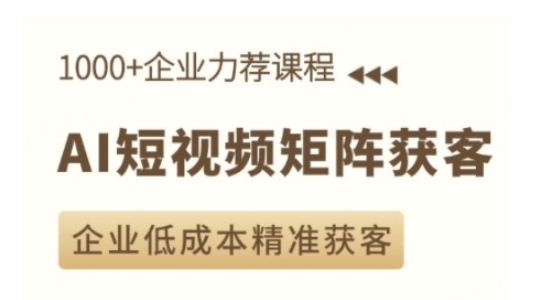 AI短视频矩阵获客实操课，企业低成本精准获客-网创先锋