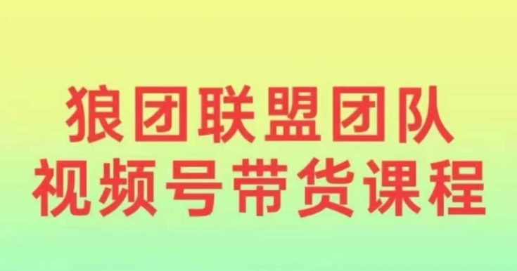 狼团联盟2024视频号带货，0基础小白快速入局视频号-网创先锋