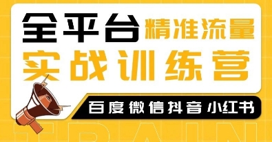 全平台精准流量实战训练营，百度微信抖音小红书SEO引流教程-网创先锋