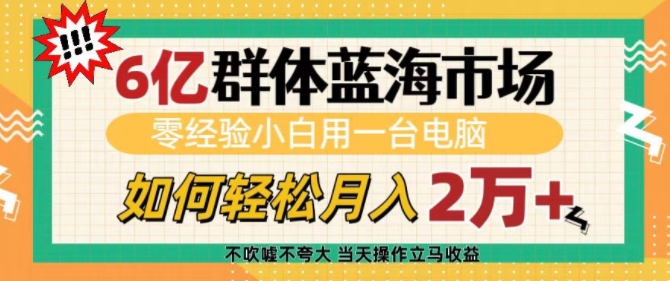 6亿群体蓝海市场，零经验小白用一台电脑，如何轻松月入过w【揭秘】-网创先锋