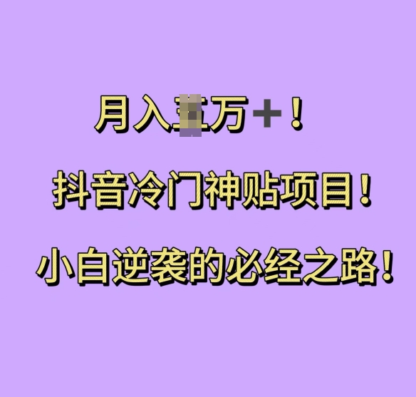 抖音冷门神贴项目，小白逆袭的必经之路，月入过W【揭秘】-网创先锋