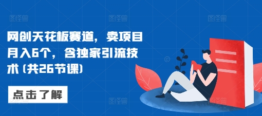 网创天花板赛道，卖项目月入6个，含独家引流技术(共26节课)-网创先锋