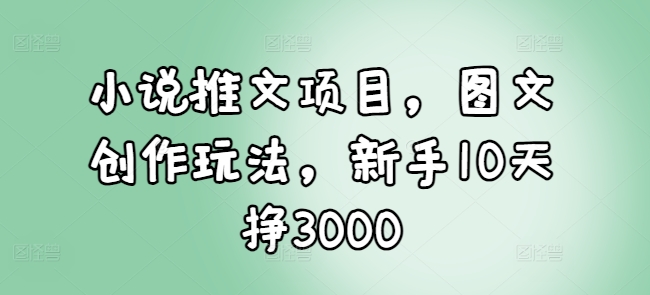 小说推文项目，图文创作玩法，新手10天挣3000-网创先锋