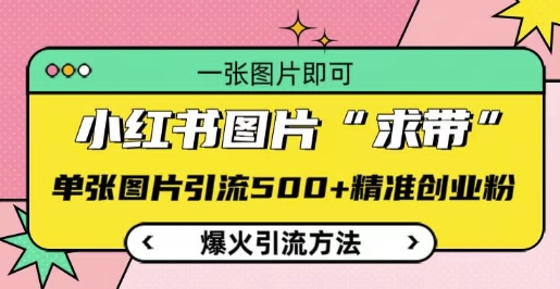 小红书图片‘求带’爆火引流法，单张图片引流500+精准创业粉【揭秘】-网创先锋