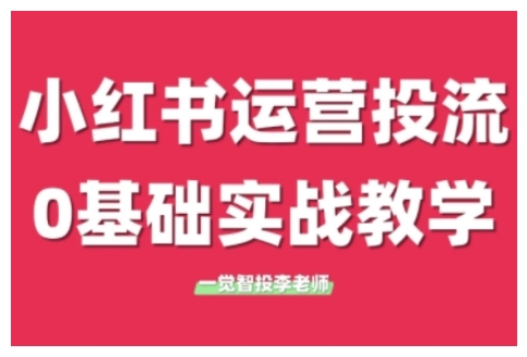 小红书运营投流，小红书广告投放从0到1的实战课，学完即可开始投放-网创先锋