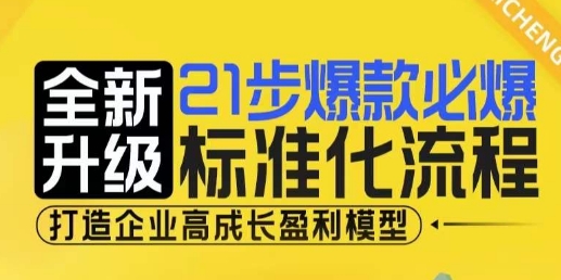 21步爆款必爆标准化流程，全新升级，打造企业高成长盈利模型-网创先锋