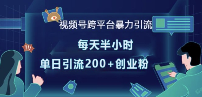 视频号跨平台暴力引流，每天半小时，单日引流200+精准创业粉-网创先锋