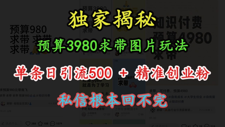 预算3980求带 图片玩法，单条日引流500+精准创业粉，私信根本回不完-网创先锋