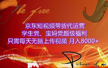 京东短视频带货代运营，学生党、宝妈党超级福利，只需每天无脑上传视频，月入8000+【仅揭秘】-网创先锋