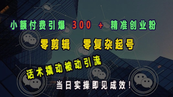 小额付费引爆 300 + 精准创业粉，零剪辑、零复杂起号，话术撬动被动引流，当日实操即见成效-网创先锋