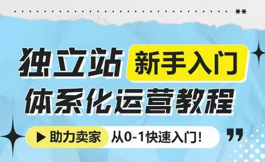 独立站新手入门体系化运营教程，助力独立站卖家从0-1快速入门!-网创先锋