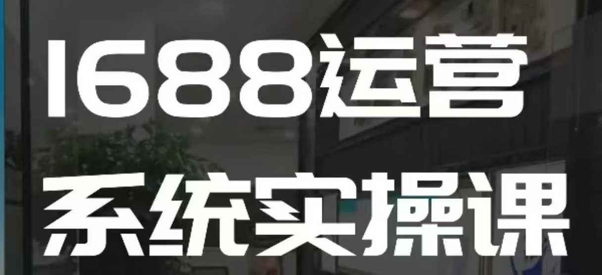 1688高阶运营系统实操课，快速掌握1688店铺运营的核心玩法-网创先锋