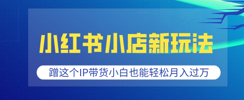 小红书小店新玩法，蹭这个IP带货，小白也能轻松月入过W【揭秘】-网创先锋