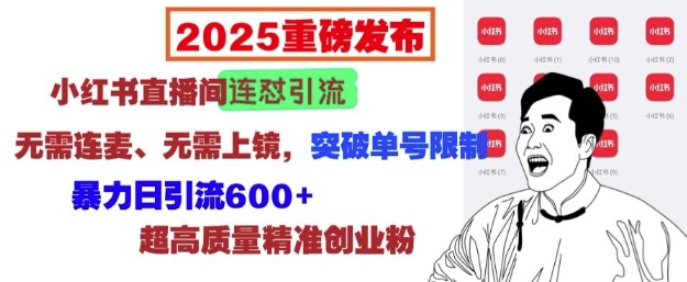 2025重磅发布：小红书直播间连怼引流，无需连麦、无需上镜，突破单号限制，暴力日引流600+-网创先锋
