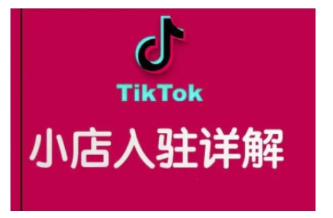 TikTok跨境小店运营全攻略，帮助你独立运营TK跨境小店的能力，实现销量增长-网创先锋