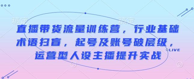 直播带货流量训练营，行业基础术语扫盲，起号及账号破层级，运营型人设主播提升实战-网创先锋