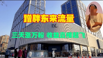 蹭胖东来流量，三天涨万粉，收益直接起飞-网创先锋
