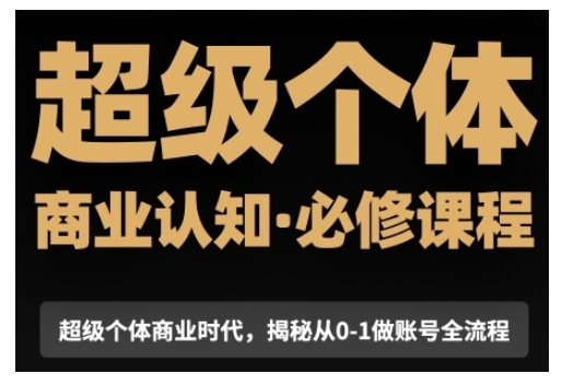 超级个体商业认知觉醒视频课，商业认知·必修课程揭秘从0-1账号全流程-网创先锋