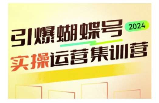 引爆蝴蝶号实操运营，助力你深度掌握蝴蝶号运营，实现高效实操，开启流量变现之路-网创先锋