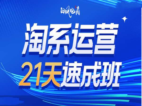 淘系运营21天速成班35期，年前最后一波和2025方向-网创先锋