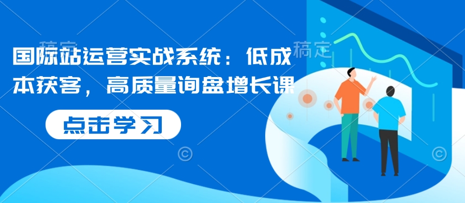 国际站运营实战系统：低成本获客，高质量询盘增长课-网创先锋