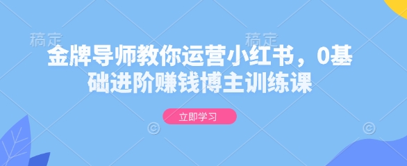 金牌导师教你运营小红书，0基础进阶赚钱博主训练课-网创先锋