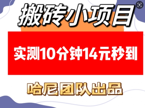 搬砖小项目，实测10分钟14元秒到，每天稳定几张(赠送必看稳定)-网创先锋
