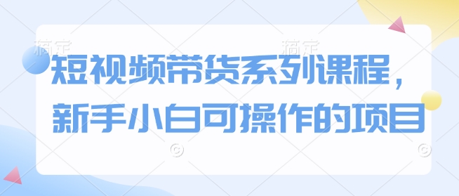 短视频带货系列课程，新手小白可操作的项目-网创先锋