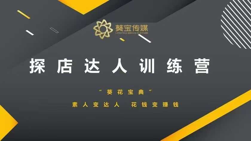 探店达人训练营，素人变达人，花钱变赚钱-网创先锋