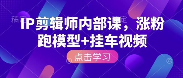 IP剪辑师内部课，涨粉跑模型+挂车视频-网创先锋